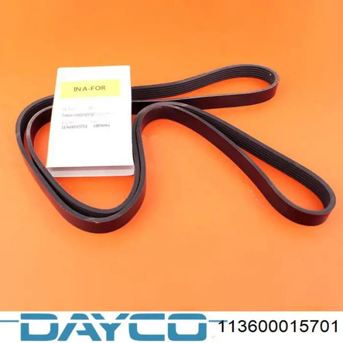 Correia dos conjuntos de transmissão 113600015701 Dayco