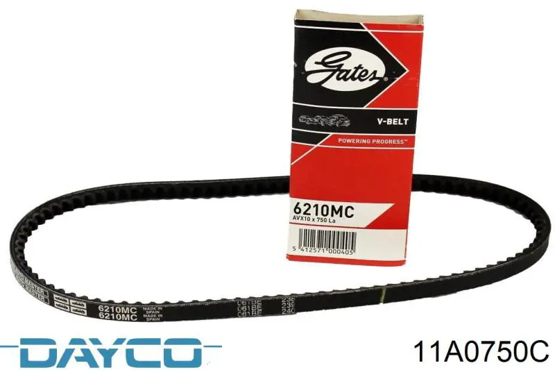 Compre 11A0750C Dayco Correia dos conjuntos de transmissão