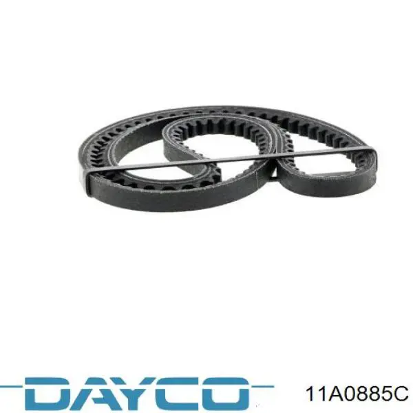 Compre 11A0885C Dayco Correia dos conjuntos de transmissão