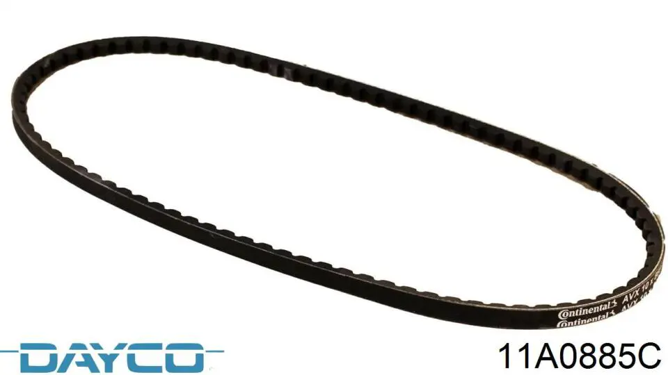 11A0885C Dayco Correia dos conjuntos de transmissão