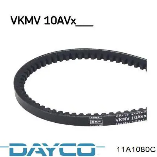 Correia dos conjuntos de transmissão 11A1080C Dayco
