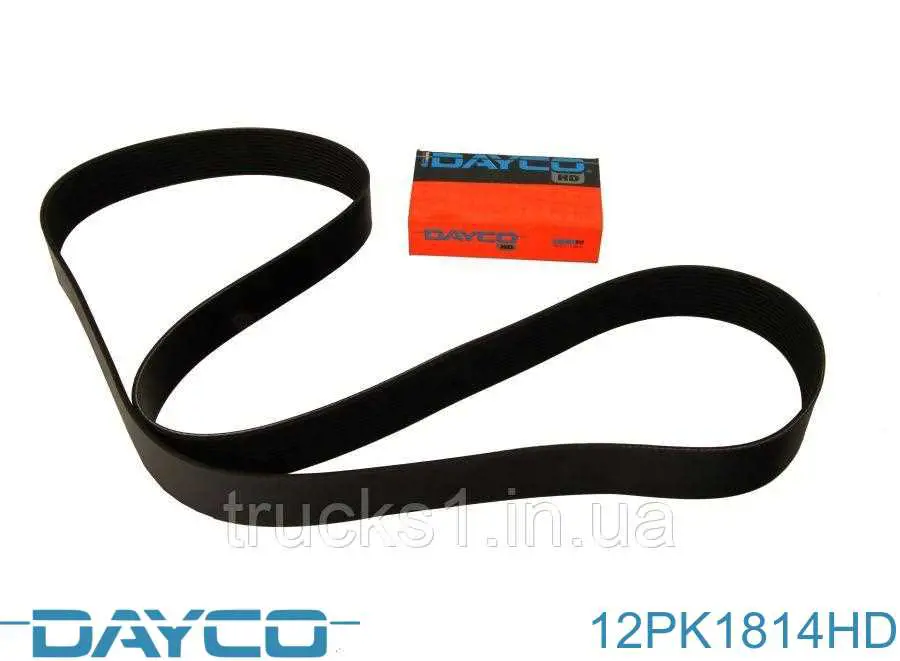 12PK1814HD Dayco Correia dos conjuntos de transmissão
