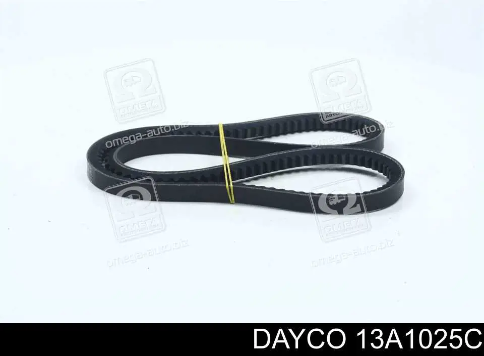 13A1025C Dayco Correia dos conjuntos de transmissão