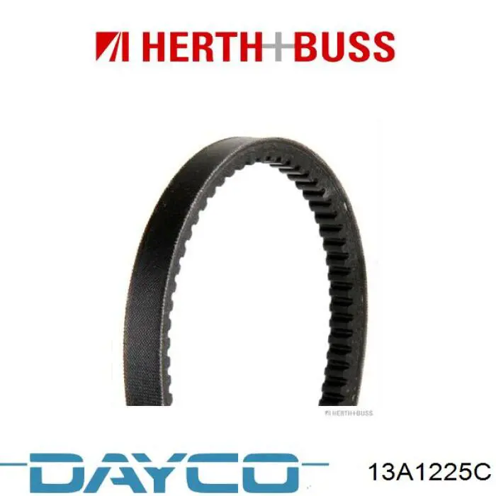 13A1225C Dayco Correia dos conjuntos de transmissão