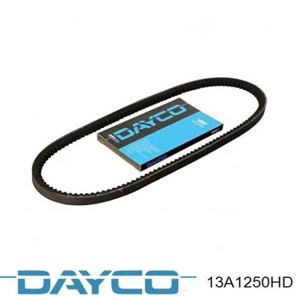 13A1250HD Dayco Correia dos conjuntos de transmissão