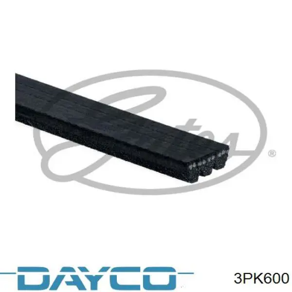 3PK600 Dayco Correia dos conjuntos de transmissão