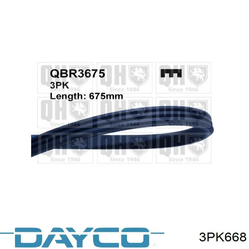 3PK668 Dayco Correia dos conjuntos de transmissão