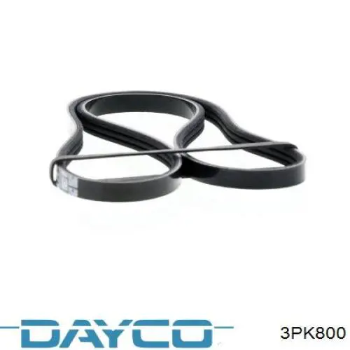 3PK800 Dayco Correia dos conjuntos de transmissão
