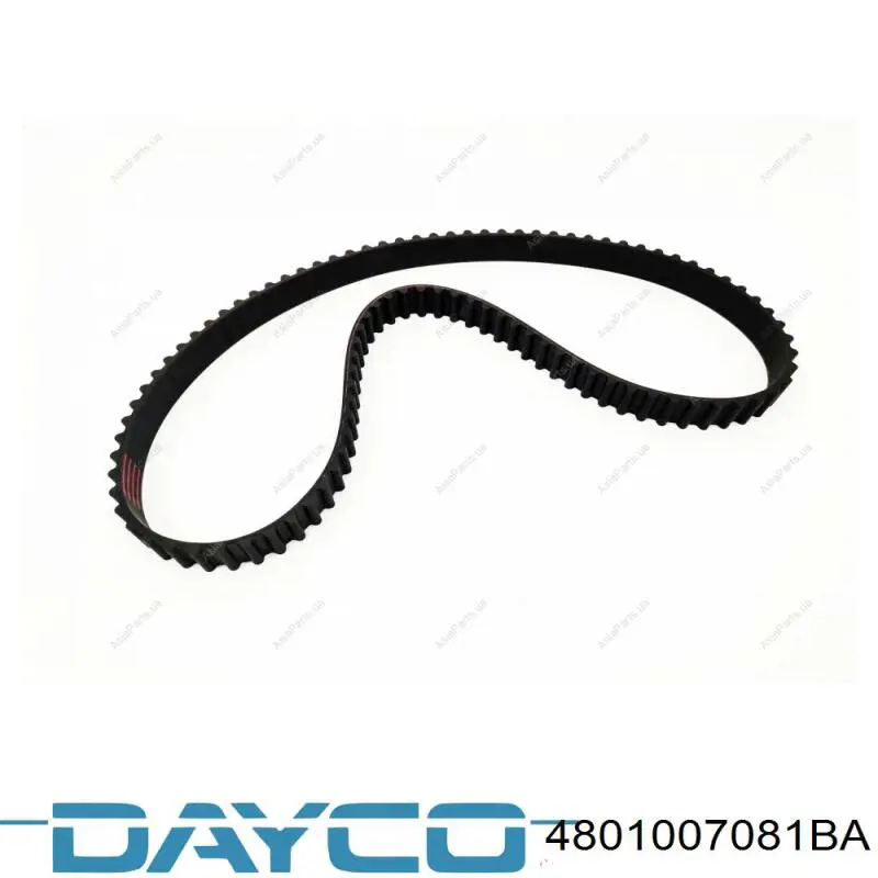 Compre 4801007081BA Dayco Correia do mecanismo de distribuição de gás