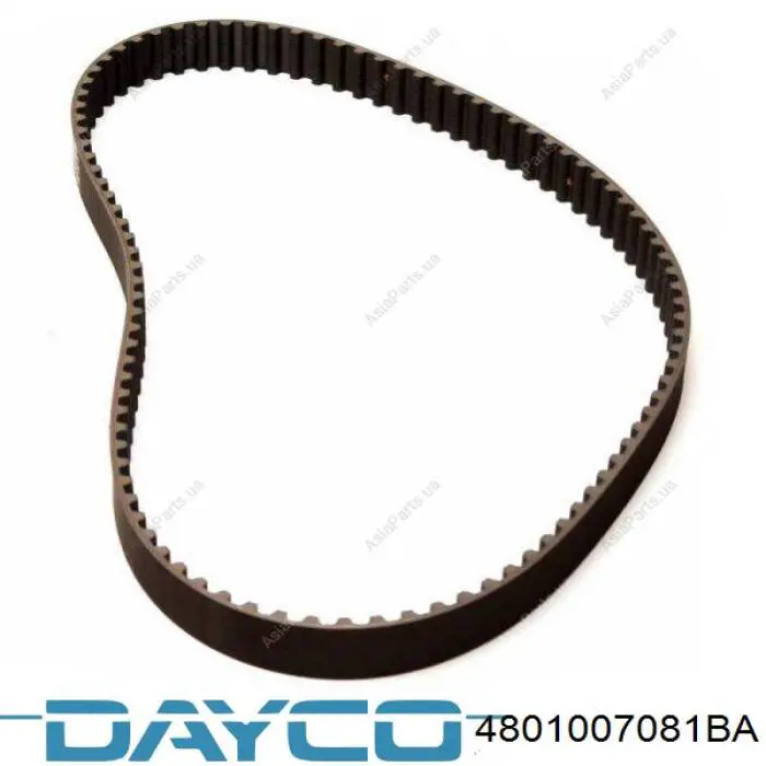 4801007081BA Dayco Correia do mecanismo de distribuição de gás