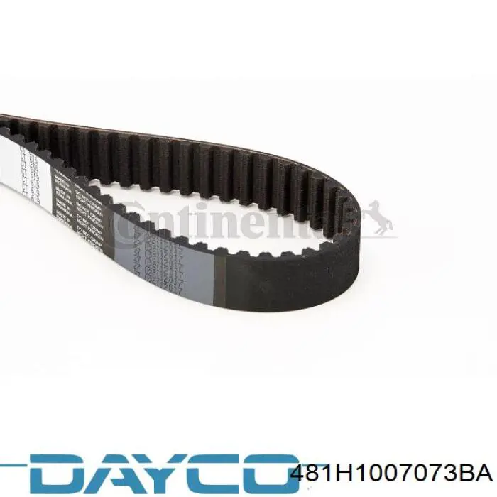 481H1007073BA Dayco Correia do mecanismo de distribuição de gás