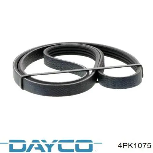 Compre 4PK1075 Dayco Correia dos conjuntos de transmissão