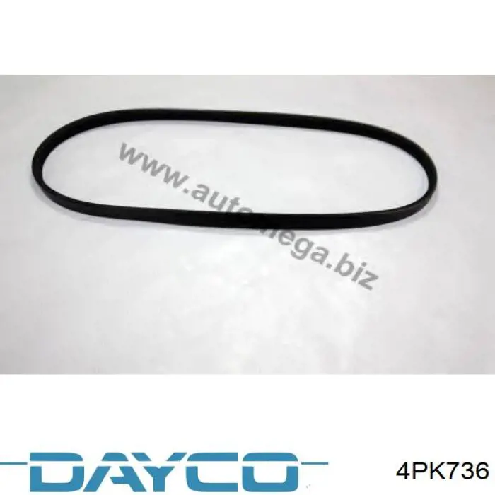 4PK736 Dayco Correia dos conjuntos de transmissão