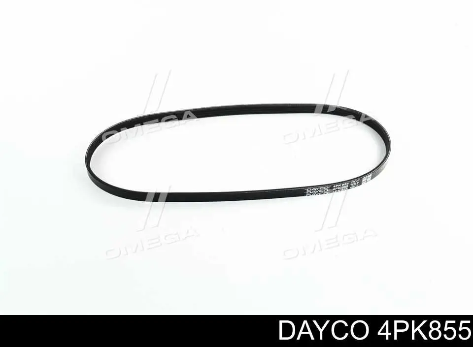 4PK855 Dayco Correia dos conjuntos de transmissão