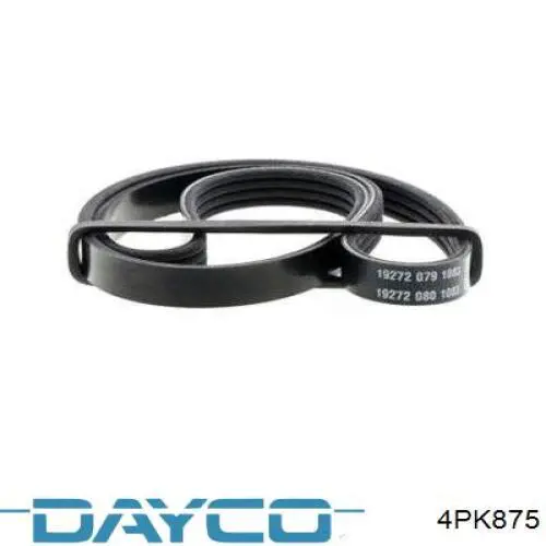 4PK875 Dayco Correia dos conjuntos de transmissão