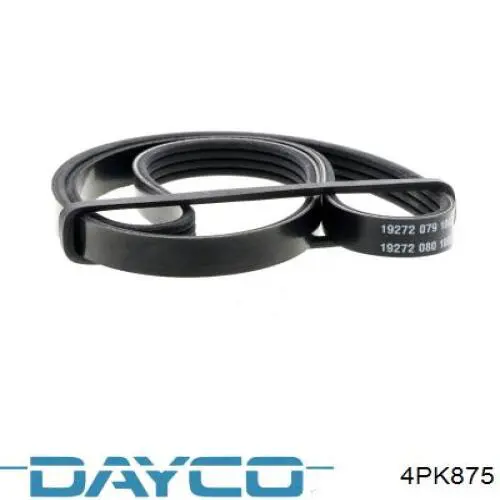 Compre 4PK875 Dayco Correia dos conjuntos de transmissão