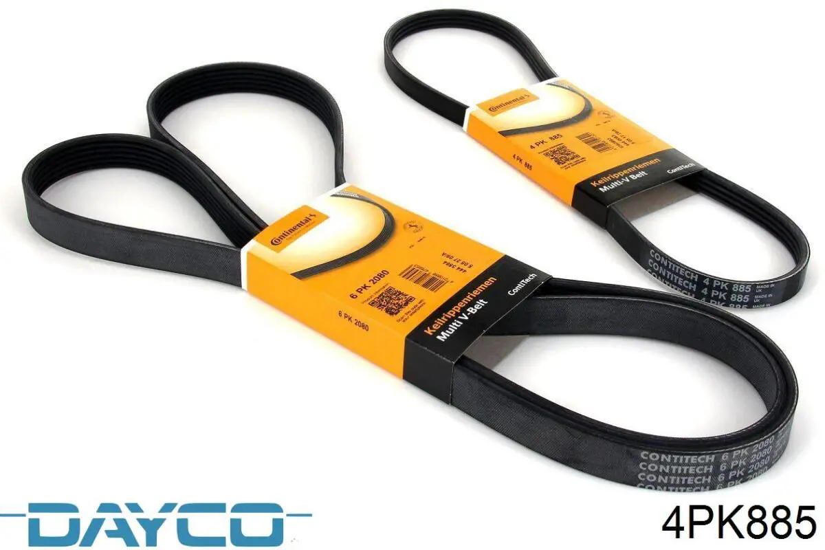 Compre 4PK885 Dayco Correia dos conjuntos de transmissão
