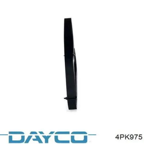 Compre 4PK975 Dayco Correia dos conjuntos de transmissão