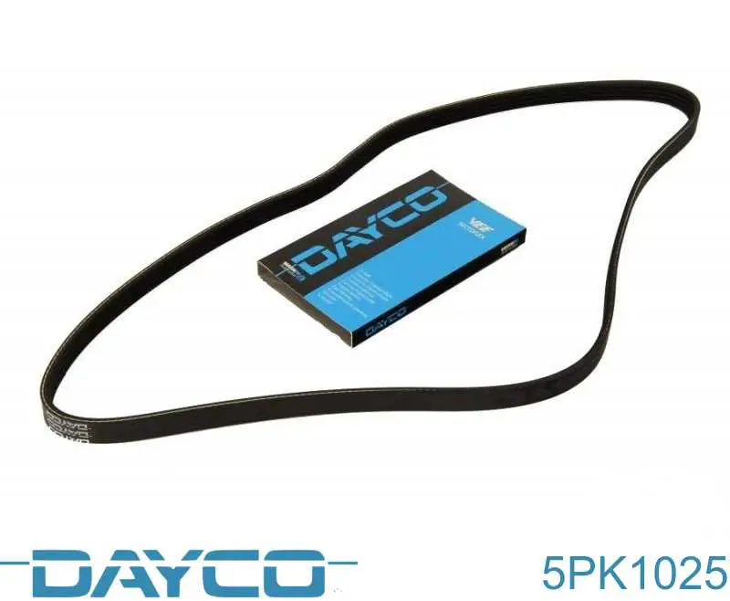 Correia dos conjuntos de transmissão Dayco 5PK1025 preço, a partir de 10,55 USD