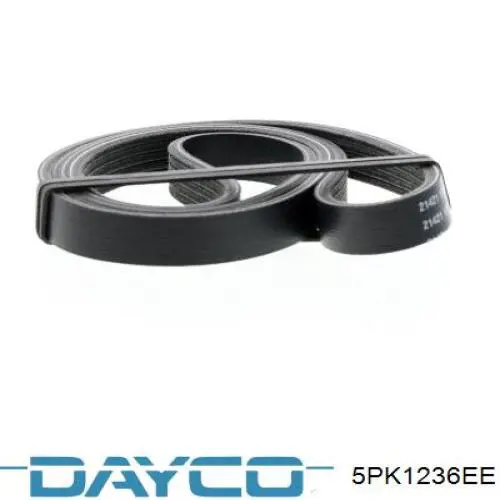 5PK1236EE Dayco Correia dos conjuntos de transmissão