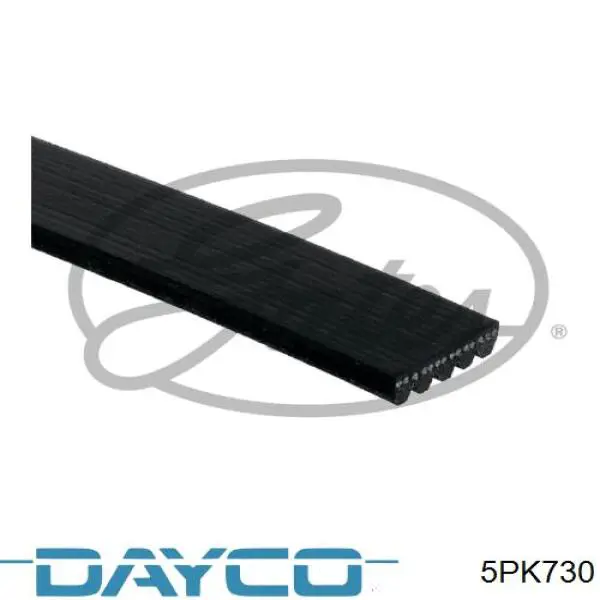 5PK730 Dayco Correia dos conjuntos de transmissão