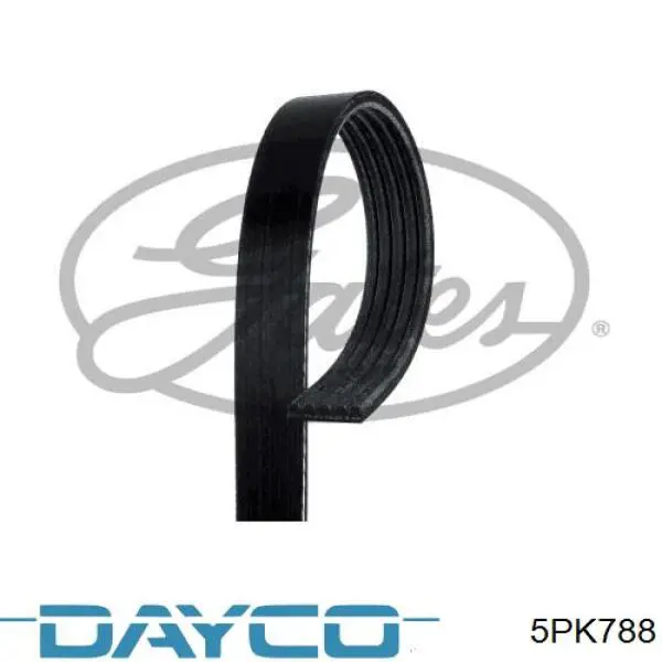 5PK788 Dayco Correia dos conjuntos de transmissão