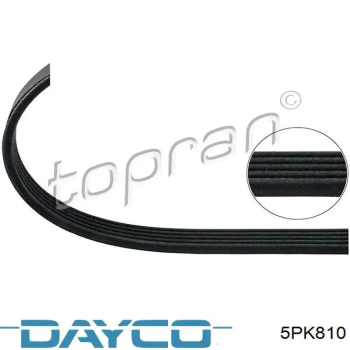 Compre 5PK810 Dayco Correia dos conjuntos de transmissão