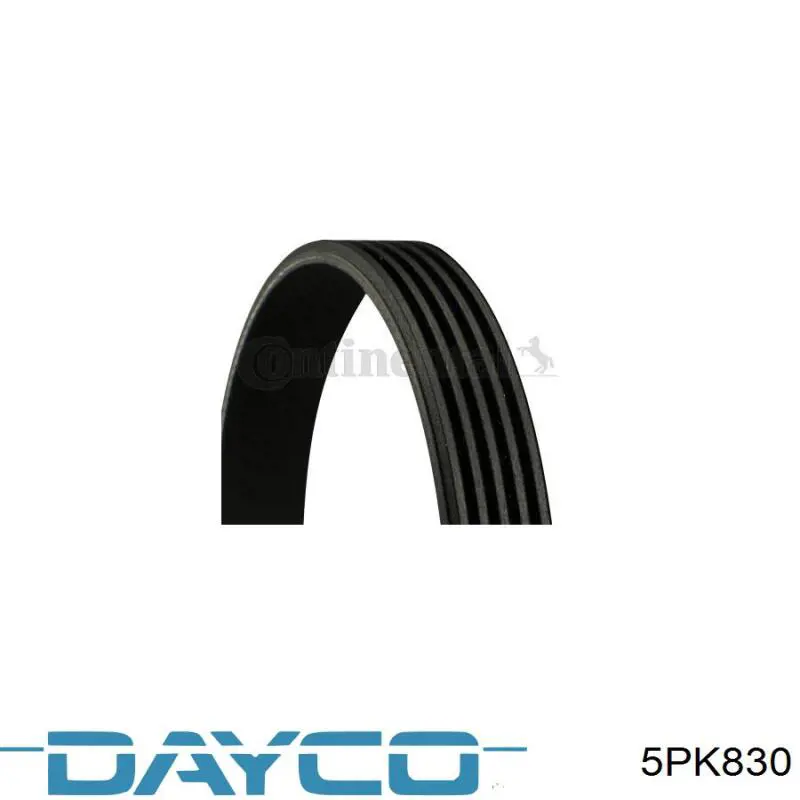 5PK830 Dayco Correia dos conjuntos de transmissão