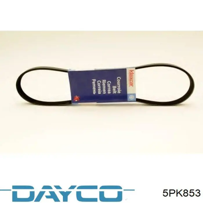 Correia dos conjuntos de transmissão Dayco 5PK853 preço, a partir de 12,69 USD