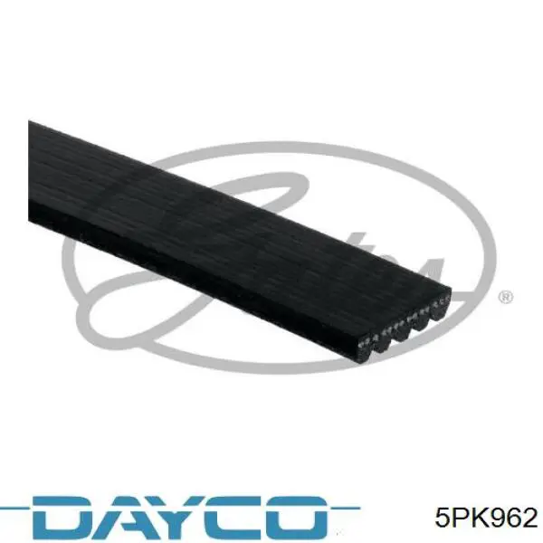 Compre 5PK962 Dayco Correia dos conjuntos de transmissão