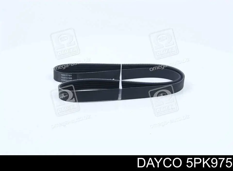 5PK975 Dayco Correia dos conjuntos de transmissão