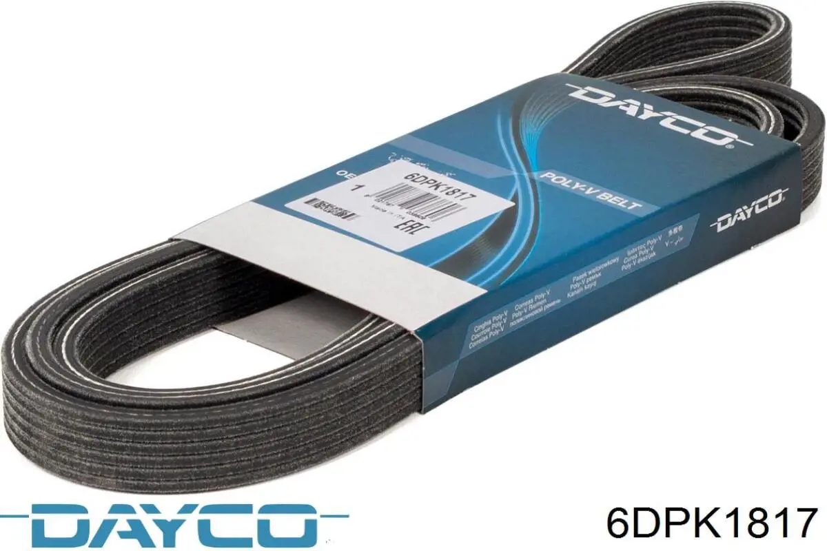 Compre 6DPK1817 Dayco Correia dos conjuntos de transmissão