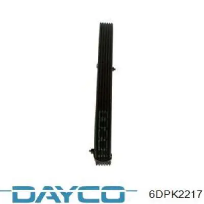 Compre 6DPK2217 Dayco Correia dos conjuntos de transmissão