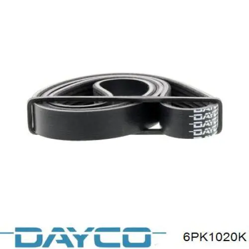 6PK1020K Dayco Correia dos conjuntos de transmissão