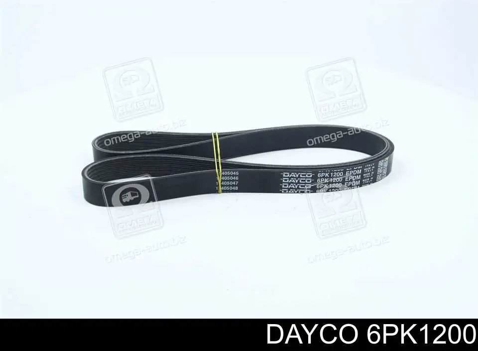 6PK1200 Dayco Correia dos conjuntos de transmissão