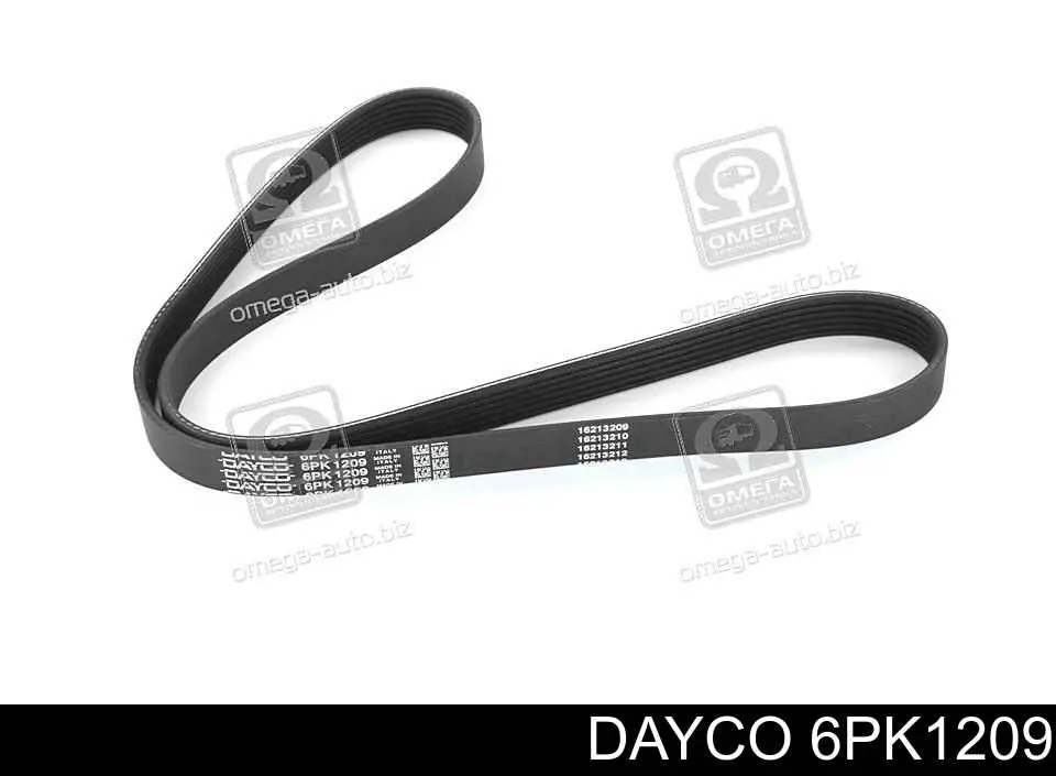 6PK1209 Dayco Correia dos conjuntos de transmissão