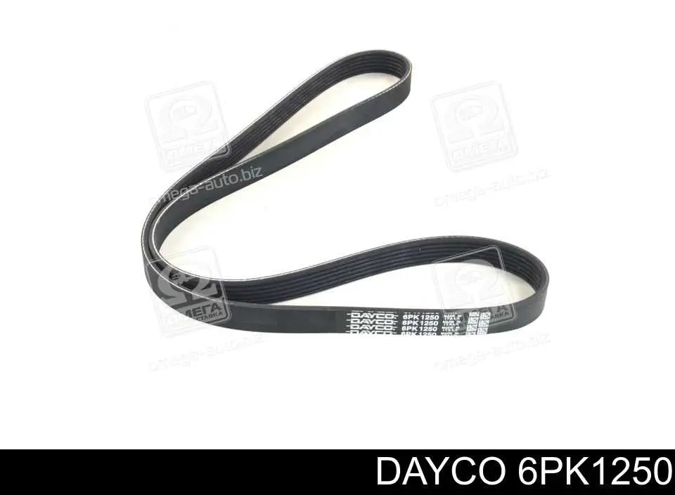 Correia dos conjuntos de transmissão Dayco 6PK1250 preço, a partir de 17,61 USD
