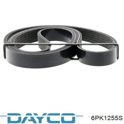 6PK1255S Dayco Correia dos conjuntos de transmissão