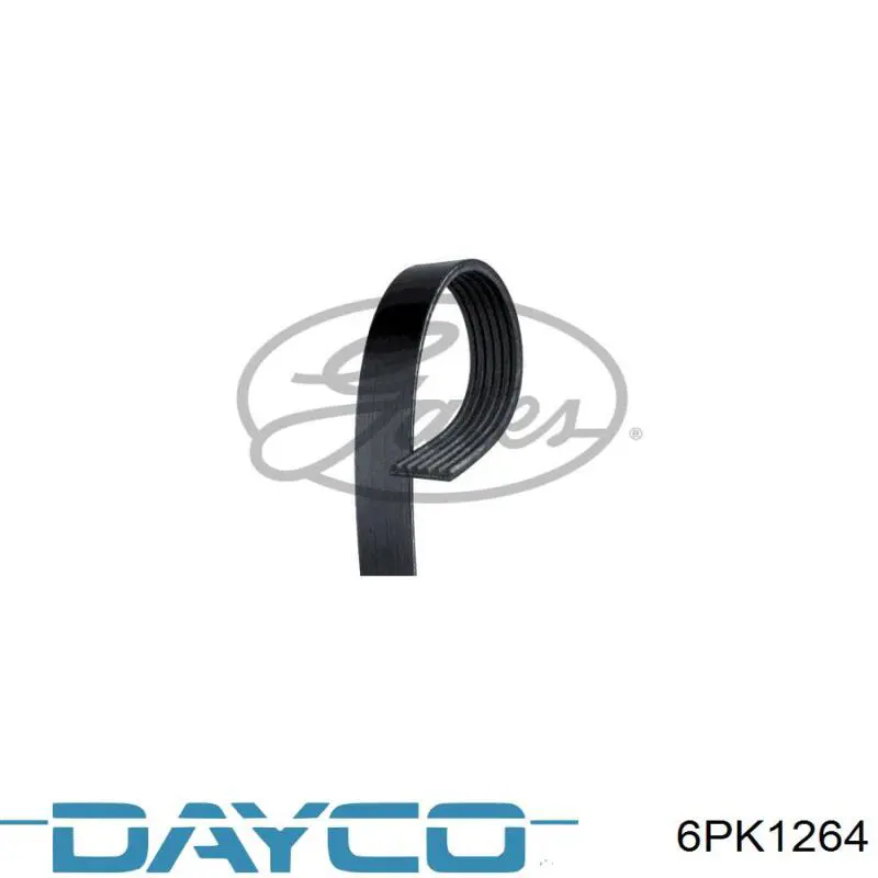 Compre 6PK1264 Dayco Correia dos conjuntos de transmissão