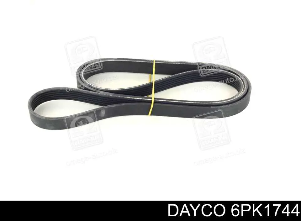 6PK1744 Dayco Correia dos conjuntos de transmissão