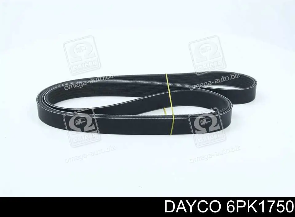 6PK1750 Dayco Correia dos conjuntos de transmissão