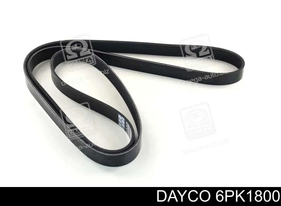 6PK1800 Dayco Correia dos conjuntos de transmissão