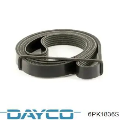 6PK1836S Dayco Correia dos conjuntos de transmissão