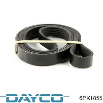 Correia dos conjuntos de transmissão Dayco 6PK1855 preço, a partir de 18,22 USD