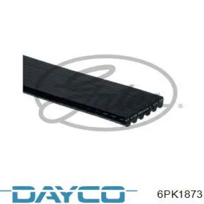 6PK1873 Dayco Correia dos conjuntos de transmissão