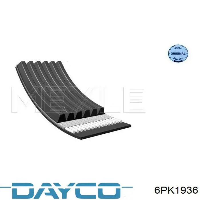 Compre 6PK1936 Dayco Correia dos conjuntos de transmissão