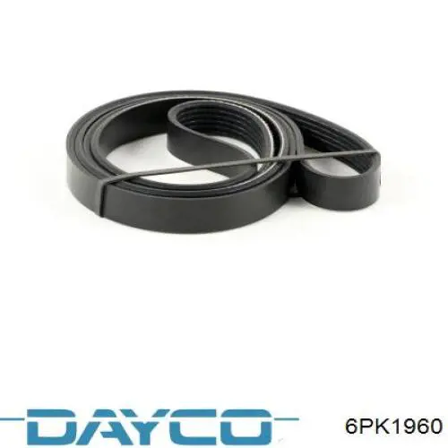 Compre 6PK1960 Dayco Correia dos conjuntos de transmissão
