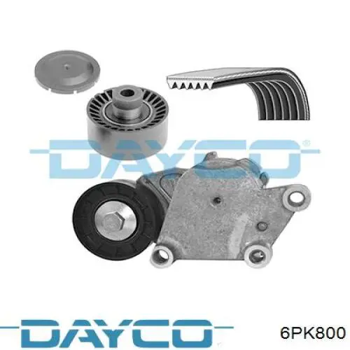 6PK800 Dayco Correia dos conjuntos de transmissão