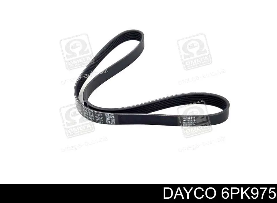 6PK975 Dayco Correia dos conjuntos de transmissão