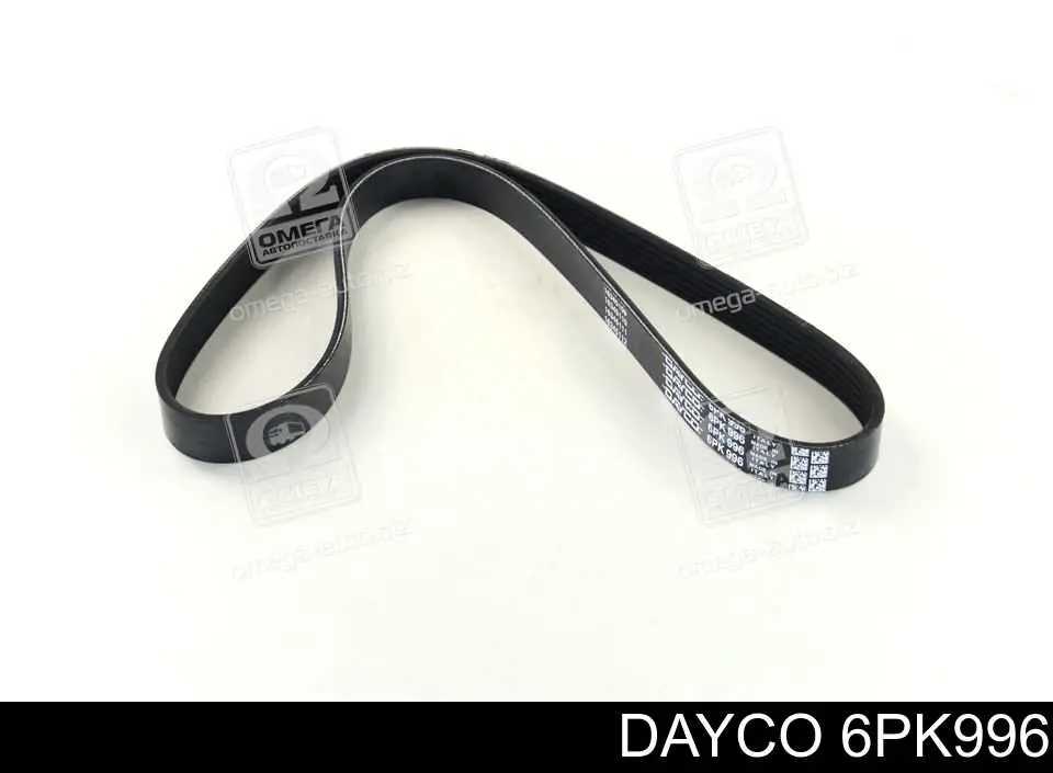 6PK996 Dayco Correia dos conjuntos de transmissão